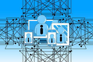 华体会登陆-中国青少年篮球发展政策实施与推广策略，青少年篮球发展现状及对策研究